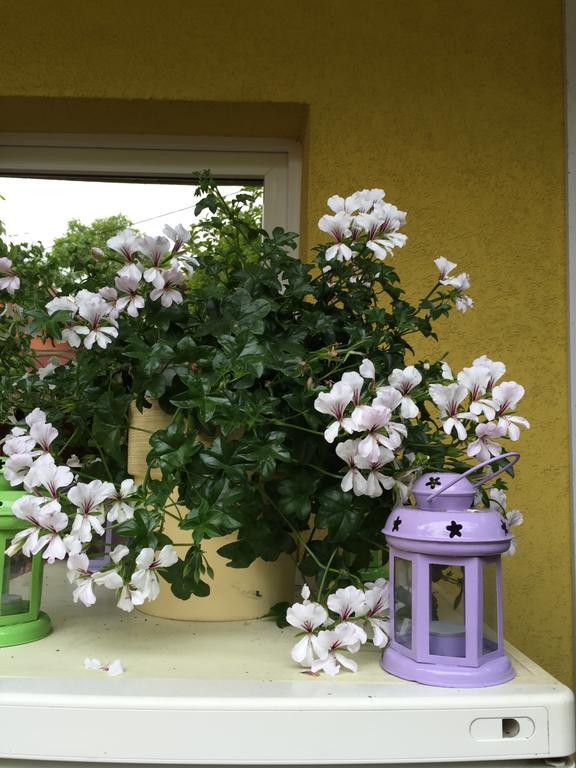 Casa Belazur Ξενοδοχείο Ντέβα Εξωτερικό φωτογραφία